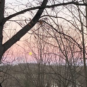 Meet your Posher, Janice